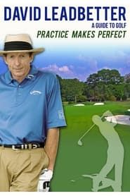 watch David Leadbetter : Practice Makes Perfect