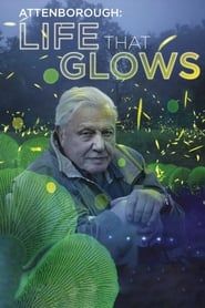 Attenborough's Life That Glows series tv