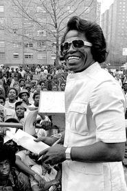 The Lost James Brown Tapes series tv