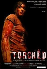 Torched series tv
