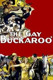 The Gay Buckaroo series tv