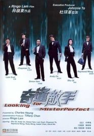 Looking for Mr. Perfect series tv