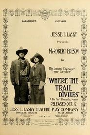 Where the Trail Divides (1914)