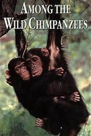 Among the Wild Chimpanzees series tv