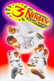 Ninja Kids 3 : Les 3 Ninjas se révoltent (1995)