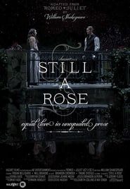 Still a Rose-hd