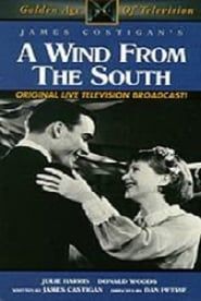 A Wind from the South series tv