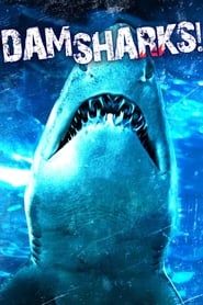 Image Dam Sharks! 2016