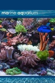 Marine Aquarium series tv