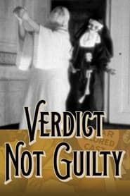Verdict: Not Guilty series tv