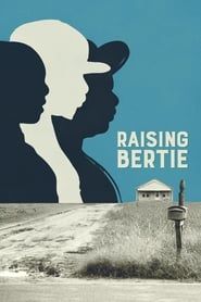 Raising Bertie series tv