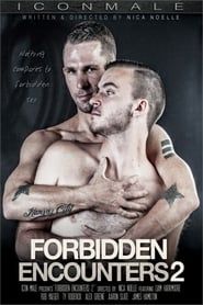 Forbidden Encounters 2 (2014)