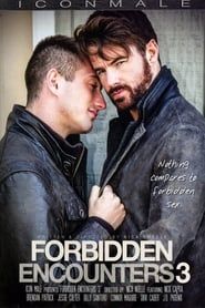 Forbidden Encounters 3 (2015)