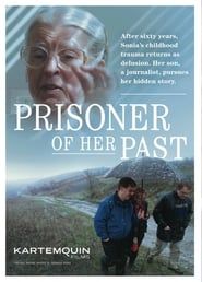 Prisoner of Her Past series tv
