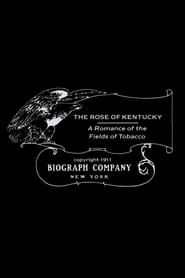 The Rose of Kentucky 1911 streaming