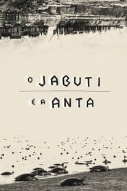 O Jabuti e a Anta (2016)