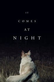 Image It Comes at Night 2017