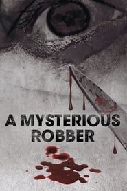 A Mysterious Robber series tv