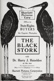 The Black Stork series tv