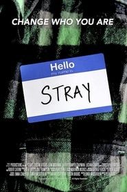 Stray-hd
