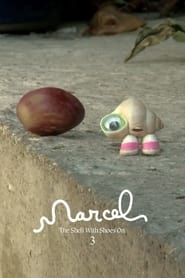 Image Marcel the Shell with Shoes On, Three 2014