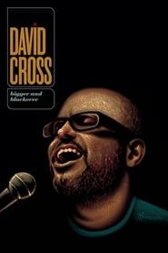 David Cross: Bigger and Blackerer series tv