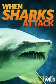 National Geographic : Quand Les Requins Attaquent (2004)