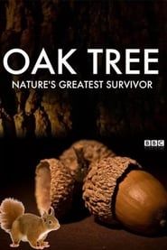 Oak Tree: Nature's Greatest Survivor series tv