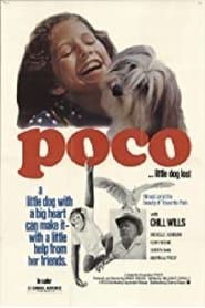Poco… Little Dog Lost-hd