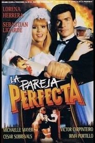 The Perfect Couple (1991)