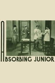 Absorbing Junior series tv