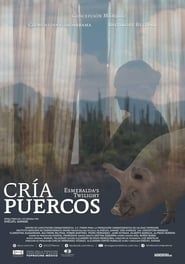watch Cría puercos