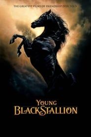 Young Black Stallion series tv