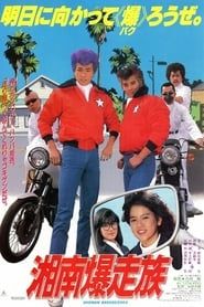 Bomber Bikers of Shonan (1987)