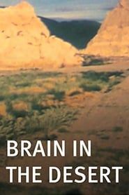 Image Brain in the Desert