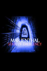 Marienthal: State of Emergency series tv