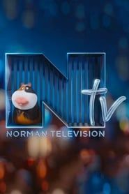 Image Norman Television 2016