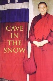 Image Cave in the Snow 2002