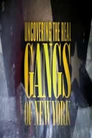 Uncovering the Real Gangs of New York series tv