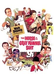 The Horse in the Gray Flannel Suit series tv
