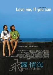 飛躍情海 (2004)