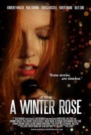 A Winter Rose-hd