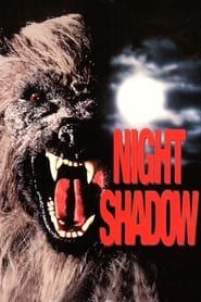 Affiche de Night Shadow
