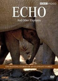 Image Echo of the Elephants, The Story of an Elephant Family