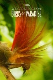 Affiche de Winged Seduction: Birds of Paradise