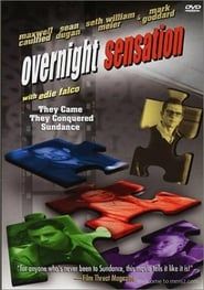 Overnight Sensation series tv
