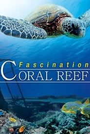 Fascination Coral Reef-hd