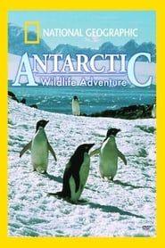 Antarctic Wildlife Adventure series tv