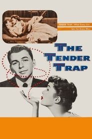 The Tender Trap series tv