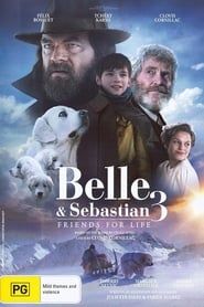 Image Belle et Sébastien 3 : Le Dernier Chapitre 2018